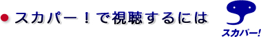 XJp[IŎɂ