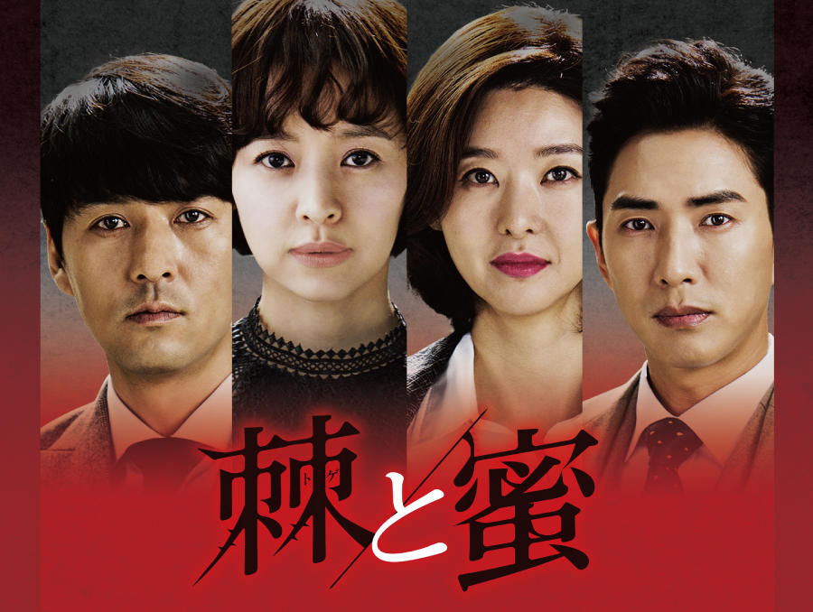 韓国ドラマ「棘<トゲ>と蜜」2話連続