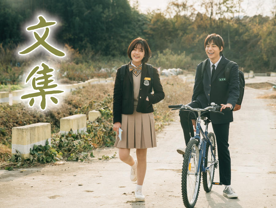 韓国ドラマ「文集」【ドラマステージ<tvN>】