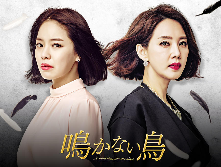 韓国ドラマ「鳴かない鳥」2話連続